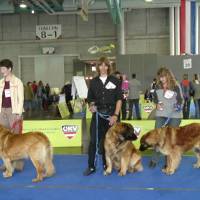 Salzburg Clubschau Mai 06 026 